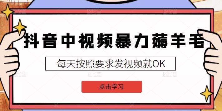 2022抖音中视频暴力薅羊毛白嫖项目：新号每天20块，老号几天几百块，可多号￼-小艾项目网