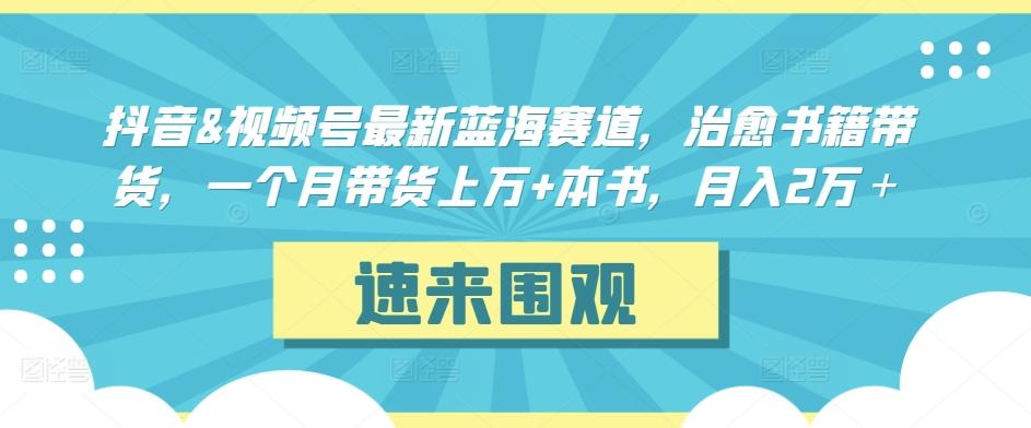 抖音&视频号最新蓝海赛道，治愈书籍带货，一个月带货上万+本书，月入2万＋【揭秘】-星火轻创