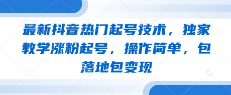 最新抖音热门起号技术，独家教学涨粉起号，操作简单，包落地包变现-星火轻创