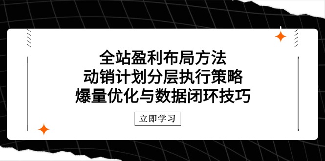 全站盈利布局方法：动销计划分层执行策略，爆量优化与数据闭环技巧-星火轻创