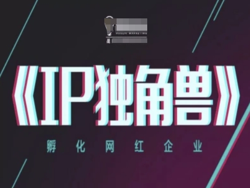 IP独角兽，孵化网红企业，ip教程-星火轻创