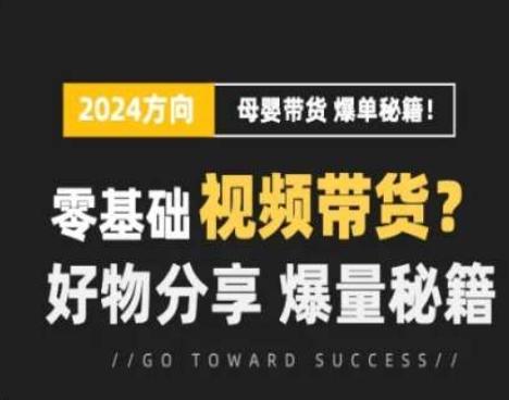 短视频母婴赛道实操流量训练营，零基础视频带货，好物分享，爆量秘籍-星火轻创