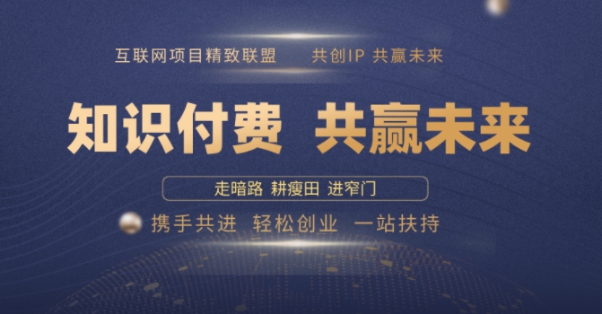 别人苦寻无果，为何他们靠知识付费卖项目 2025 年轻松年入100个?【揭秘】-星火轻创