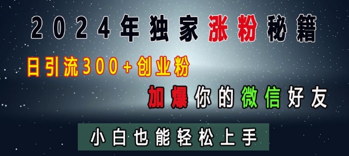 2024年独家涨粉秘籍，日引流300+创业粉，加爆你的微信好友，小白也能轻松上手-星火轻创