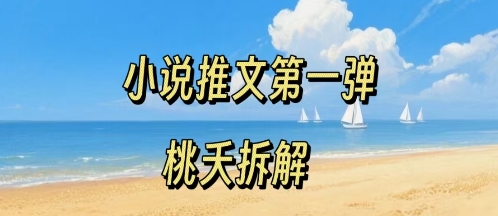 小说推文项目操作全流程第一弹，0粉就能做，门槛低非常适合新手-星火轻创