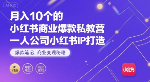 月入10个的小红书商业爆款私教营，一人公司小红书IP打造，爆款笔记，商业变现秘籍-星火轻创