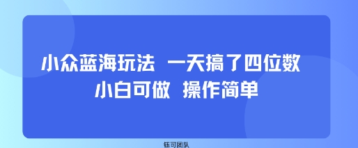 小众蓝海玩法 一天搞了四位数 小白可做 操作简单-星火轻创