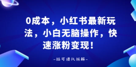 0成本，小红书最新玩法，小白无脑操作，快速涨粉变现-星火轻创