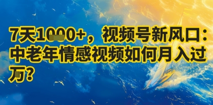 7天收益1k+，视频号新风口：中老年情感视频如何月入过W?-星火轻创