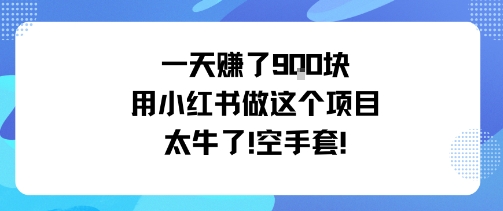 一天挣了9张用小红书做这个项目太牛了，空手套-星火轻创