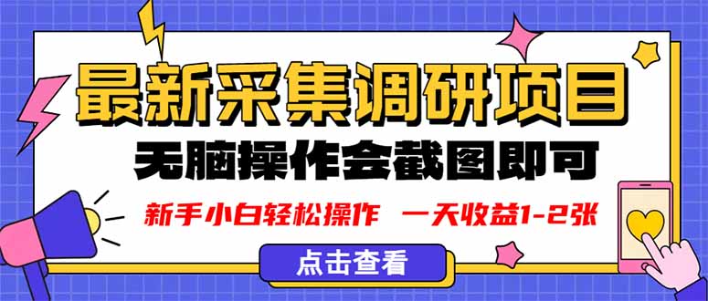 新版采集调研项目，截图上传即可，无脑操作，日收益1-2张-小艾项目网