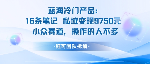 蓝海项目：16条笔记私域变现9750米小众赛道操作的人不多-小艾项目网