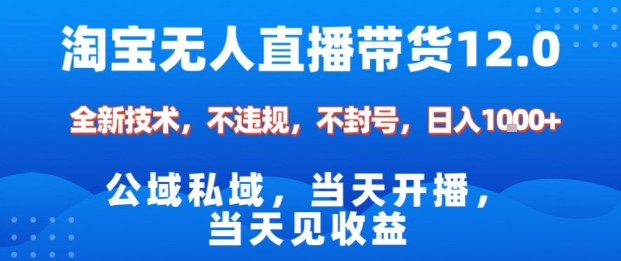 淘宝无人直播12.0，公域私域技术，不封号，不违规布局双十一流量风口，日入1k(独家技术)【揭秘】-星火轻创
