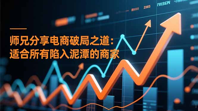 师兄分享电商破局之道：适合所有陷入泥潭的商家-星火轻创