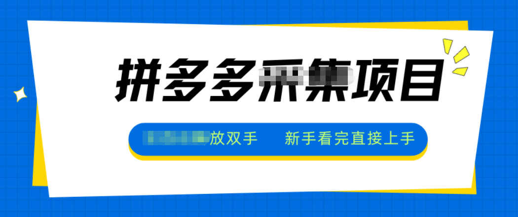 拼多多电商采集，一小时50+，操作简单，零投资-星火轻创