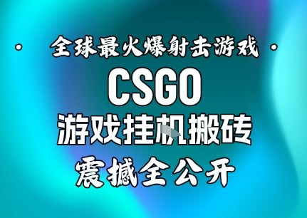 【年底大揭秘】基于全球最火爆的射击CSGO游戏挂G搬砖，日入5张+，震撼公开-星火轻创