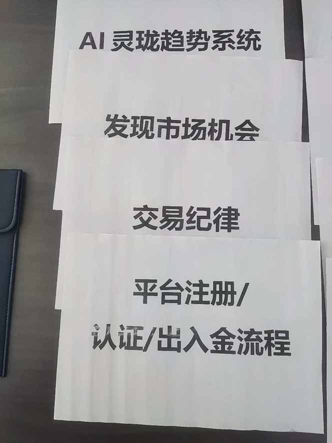 图片[3]-海外美金AI掘金项目，200U可入门槛，一天一单即可，每天1000-2000很轻松！-星火轻创