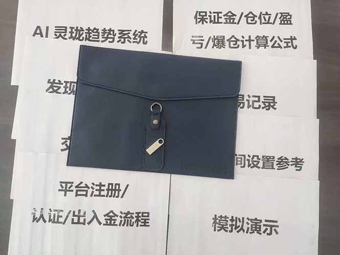 图片[5]-海外美金AI掘金项目，200U可入门槛，一天一单即可，每天1000-2000很轻松！-星火轻创