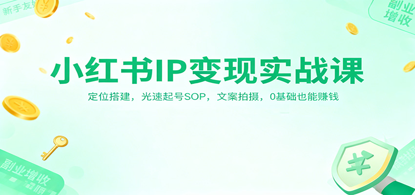 小红书IP变现实战课：定位搭建，光速起号SOP，文案拍摄，0基础也能赚钱-星火轻创
