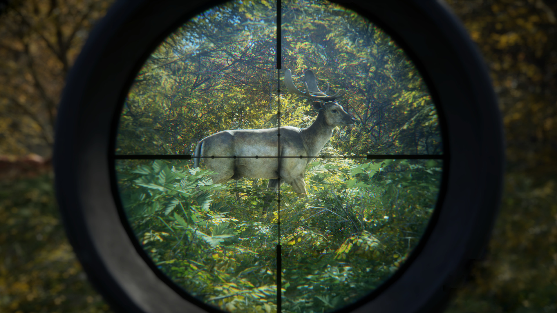 《猎人：荒野的召唤/theHunter: Call of the Wild》PC中文版下载-含v3101875-星火轻创