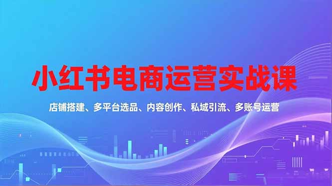 小红书电商运营实战课，店铺搭建、多平台选品、内容创作、私域引流、多账号运营等玩法-星火轻创