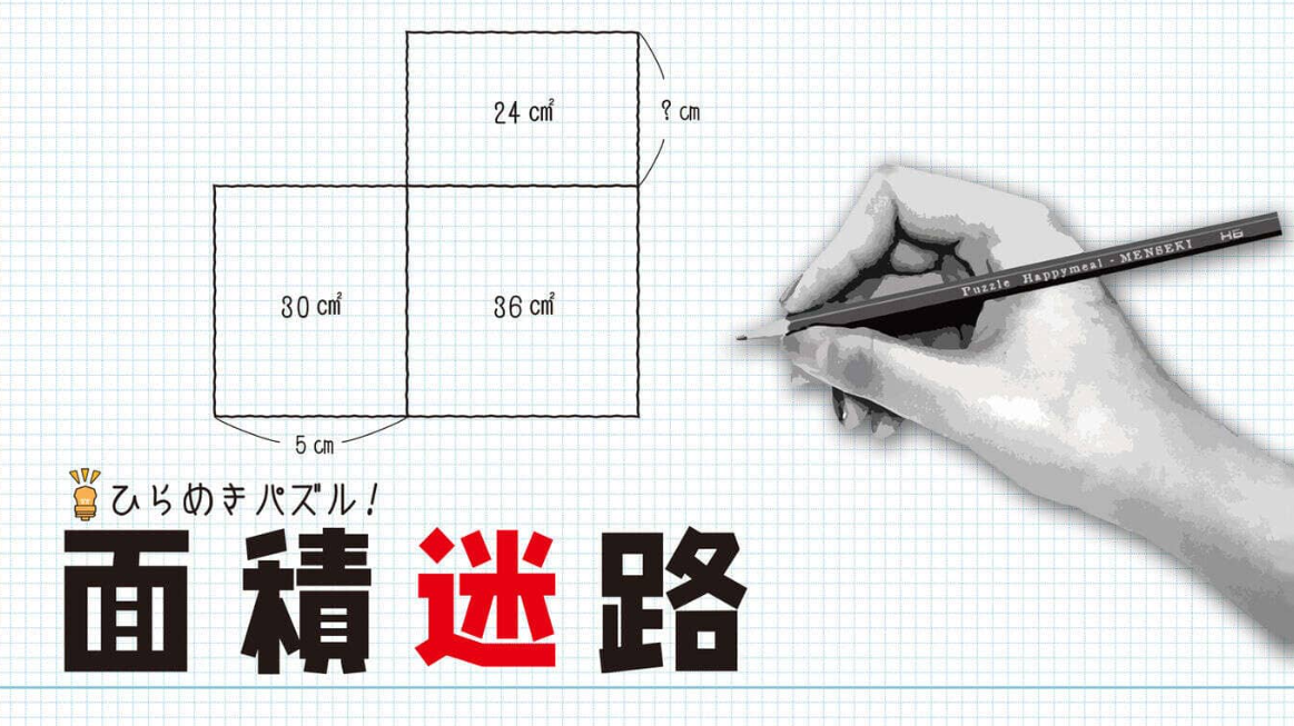 《闪烁的拼图 面积迷宫 MENSEKI Area maze puzzles》Switch英日文版NSZ下载-星火轻创