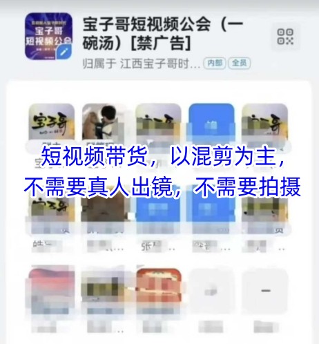 宝子哥头部团队短视频带货，以混剪为主，不需要真人出镜，不需要拍摄【更新11月】-星火轻创