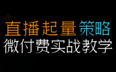 半野老师·直播带货起量与微付费必学课视频号(更新2026)-星火轻创