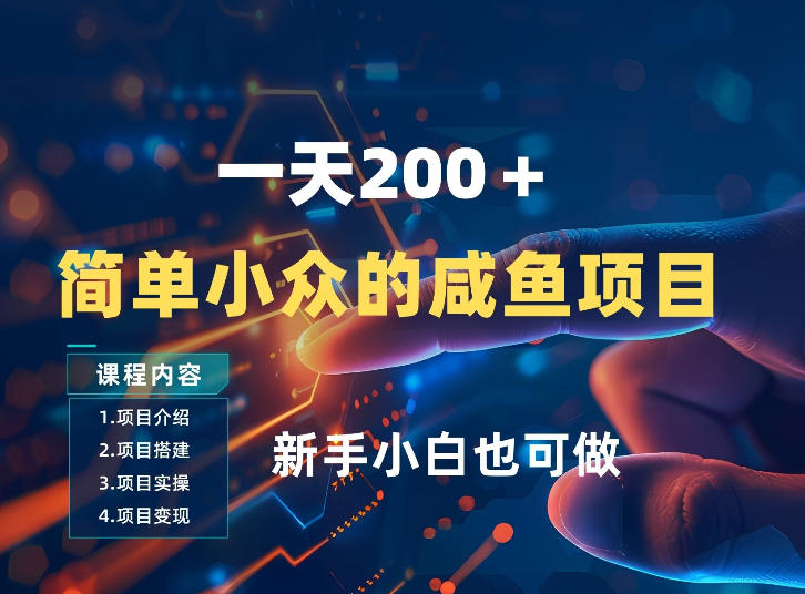 一天收入2张，一个简单小众的咸鱼项目，0门槛小白也能做-星火轻创