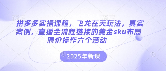 拼多多实操课程，飞龙在天玩法，真实案例，直播全流程链接的黄金sku布局原价操作六个活动-星火轻创