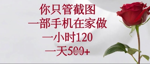 你只管截图，一部手机在家操作，一小时120.一天5张【揭秘】-星火轻创