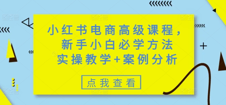 小红书电商高级课程，新手小白必学方法，实操教学+案例分析-星火轻创