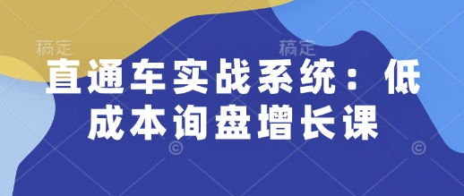 直通车实战系统：低成本询盘增长课，让个人通过技能实现升职加薪，让企业低成本获客，订单源源不断-星火轻创