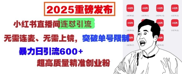 2025重磅发布：小红书直播间连怼引流，无需连麦、无需上镜，突破单号限制，暴力日引流600+-星火轻创