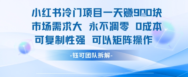 小红书冷门项目一天收益9张，市场需求大，0成本，可复制性强可以矩阵操作-星火轻创