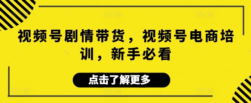视频号剧情带货，视频号电商培训，新手必看-星火轻创
