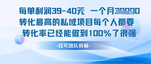 每单利润40一个月7k+转化最高的私域项目，每个人都要的产品转化率已经能做到100%-星火轻创