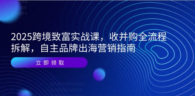 2025跨境致富实战课，收并购全流程拆解，自主品牌出海营销指南-星火轻创