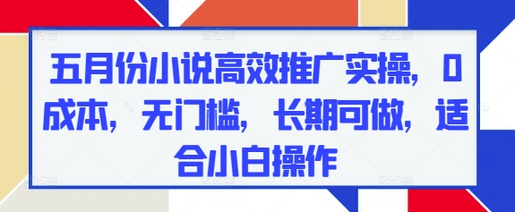 五月份小说高效推广实操，0成本，无门槛，长期可做，适合小白操作-星火轻创