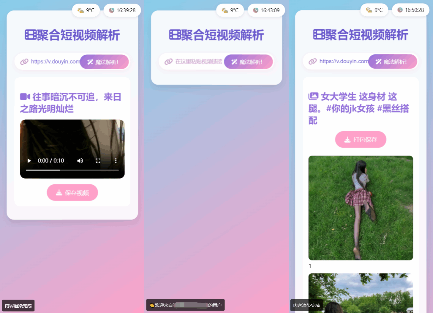 全新二次元聚合短视频解析去水印系统源码 自适应双端-星火轻创