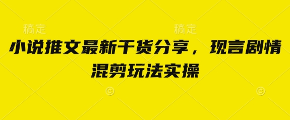 小说推文最新干货分享，现言剧情混剪玩法实操-星火轻创