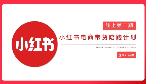 2025小红书虚拟电商实战课，从0到1打造无货源店铺，AI+爆款笔记轻松变现-星火轻创