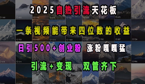 2025自热引流天花板，一条视频能带来四位数的收益，引流+变现双管齐下，日引500+创业粉，涨粉嘎嘎猛-星火轻创