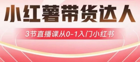 小红薯达人带货启航计划，3节直播课从0-1入门小红书-星火轻创