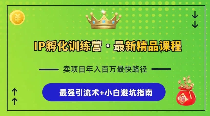 IP孵化训练营，知识付费全流程+最强引流术+小白避坑指南-星火轻创