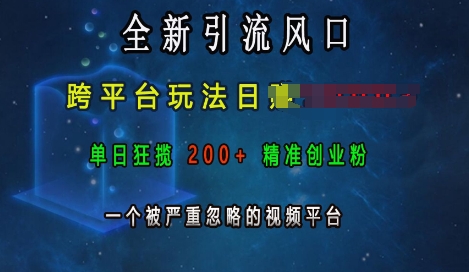 全新引流风口，跨平台玩法日入上k，单日狂揽200+精准创业粉，一个被严重忽略的视频平台-小艾项目网