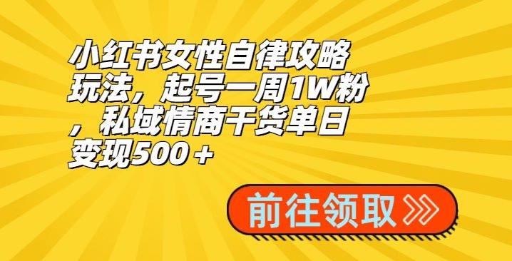 小红书女性自律攻略玩法，起号一周1W粉，私域情商干货单日变现500＋-星火轻创