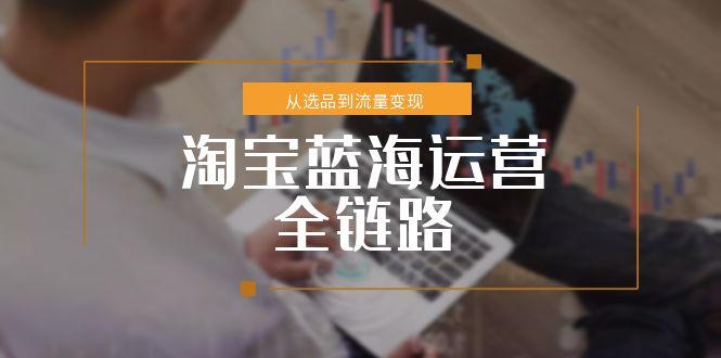 淘宝蓝海运营全链路，从选品到流量变现，小类目突围完整方案-星火轻创
