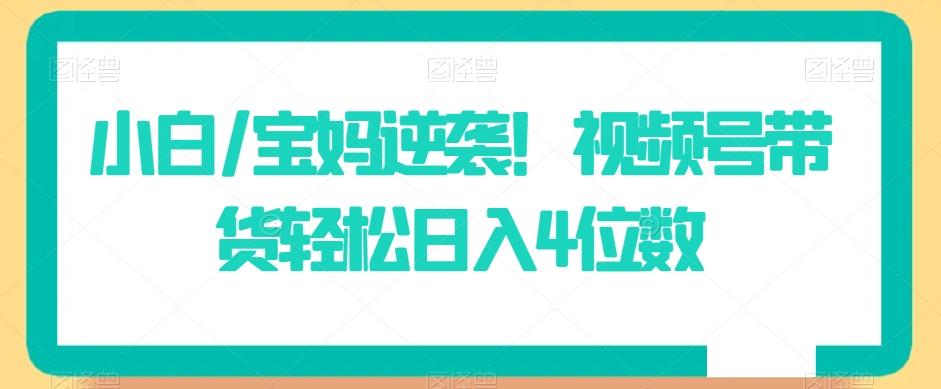 小白/宝妈逆袭！视频号带货轻松日入4位数【揭秘】-星火轻创