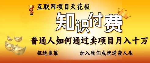 互联网项目天花板，知付付费项目，普通人如何通过卖项目月入十个，拒绝韭菜【揭秘】-星火轻创